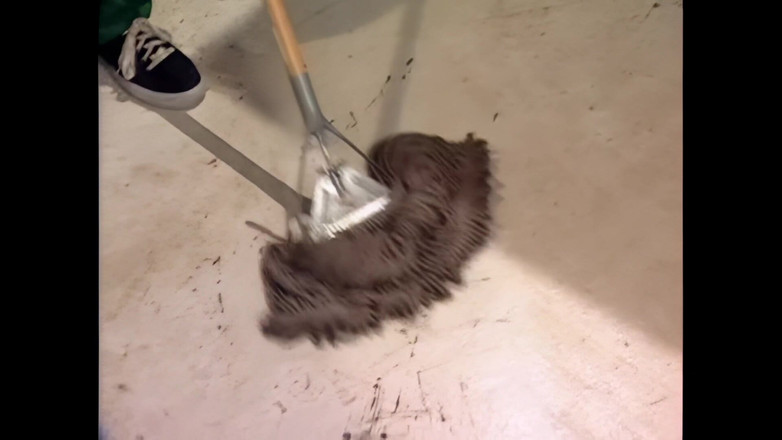 Blitzporn: Persetubuhan yang kuat dan tegas untuk badan muda yang manis...