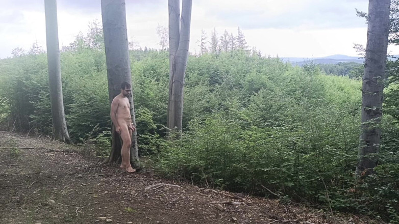 kickerscooter: Between the Beeches: Rough Exhibition on Bare Wood