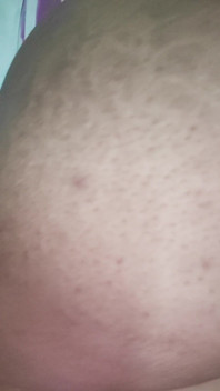 Shy Sissy Slut Journey Begins