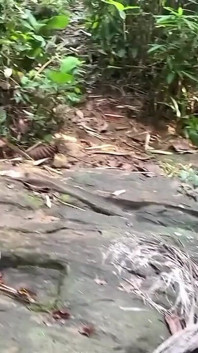 Mladý muž přijde, zatímco štíhlá srílanská žena s přirozeně velkými prsy se koupe a šuká ji právě tam ve vodě