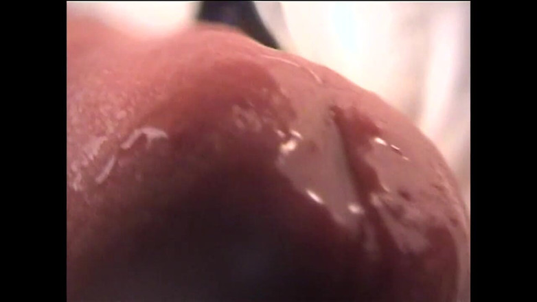 My Dirty Family: İyi bir kedi yıkama