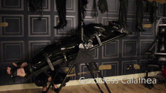 Goddess Calathea: Pesada escravidão em Inversão Mesa e Rosto Sentado