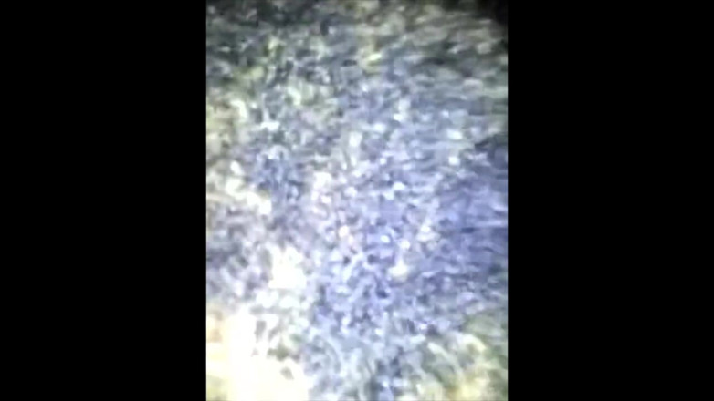 Wondahead21: Ho mangiato il bullo trackstar - classico