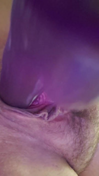 Purple Giant