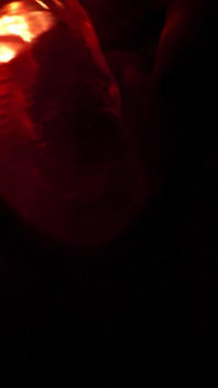 Misty Lovelace - Glow in the Dark Sex Toy