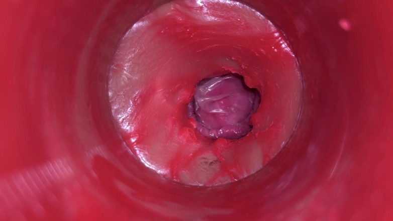 Ladybottox: Camera Inside Pussy: Powerfull Cum in Pussy! Best Internal Asmr