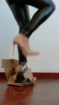 Stilettos Vs Cardboard