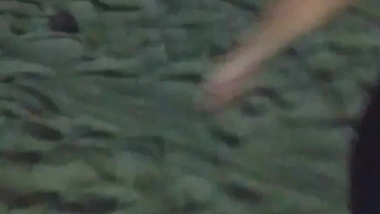 Raquel Cardoso Da Rosa: Những khoảnh khắc du lịch