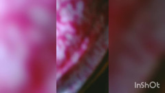 Beyblade: Vysokoškolská studentka výkon v ložnici