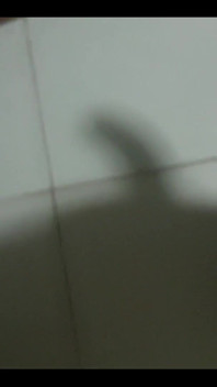 Schatten des schwanzes