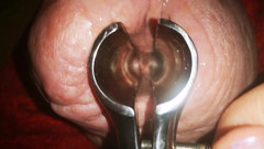 Monster_Meat_: Espéculo dentro do meu buraco do pau me fez gozar