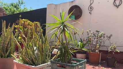 Placer_macho: 在太阳之间游泳，快乐和高潮。