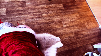 MissAlessaMilano: Adventskalender 2025