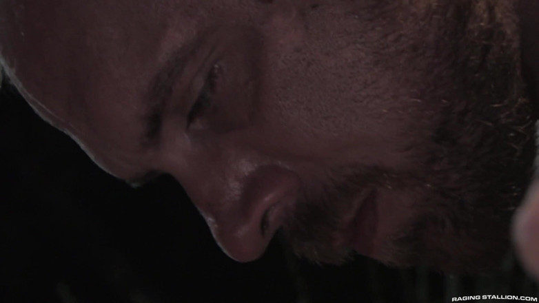 Raging Stallion: To the Last Man the Gathering Storm