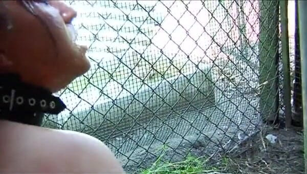 Java Consulting: Busty pet gets fucked hard by her master