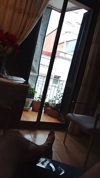 Beehive: Durch das Fenster