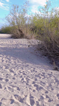 Aventura Em Uma Praia Selvagem! Sexo Com Um Estranho Termina Em Ejaculação Interna.