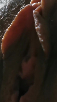 Close-up on Pussy