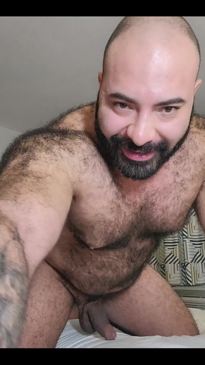 Lobo: Oso peludo divirtiéndose