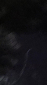 Porno d’horreur 17 : Spider féminin