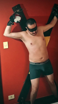 X dominanz: Bär boxen gegen jobber