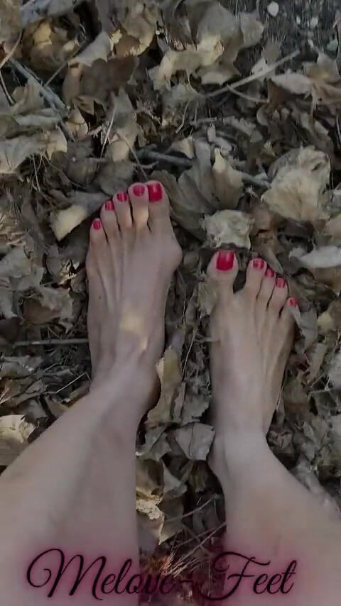 Naelor: 葉に赤いつま先の爪を持つMeloveセクシーな小さな足