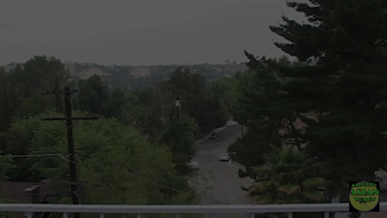 Naughty Asian Women: Gadis asia dengan stoking seksi ini lagi asik ngentot memek...