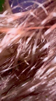 Úžasné šukání s Desi GF