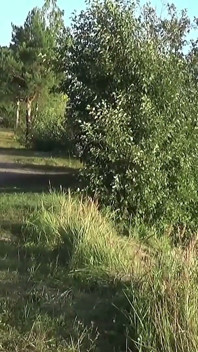 Funduri mari din blugi - Sâni mari din nailon