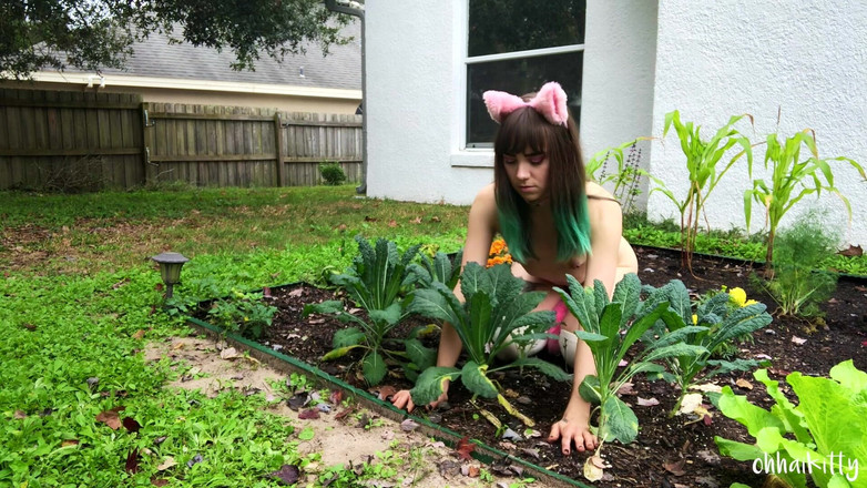 kactus kutie: 케일의 키티 금스