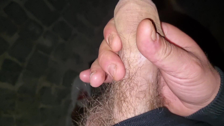 Alexander Audran: Liebe und Perversion, abspritzen und schwanz vor dem haus von...