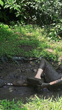 Loafers in the Mud