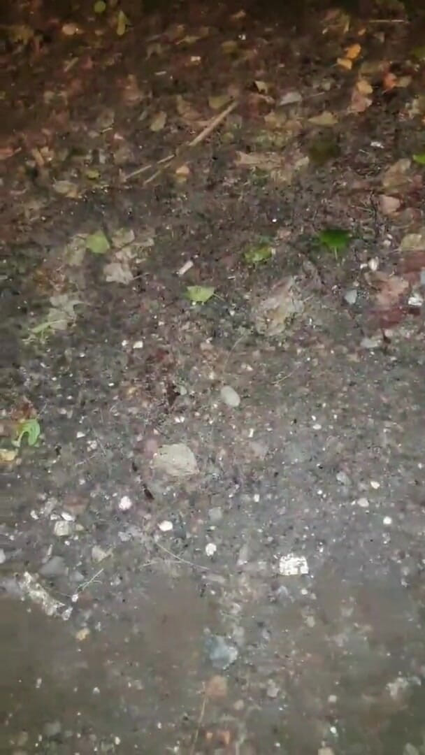 Slutboyben: スラットボーイベン Cam4 ホットなエキシビショニスト露出 カンブラスト