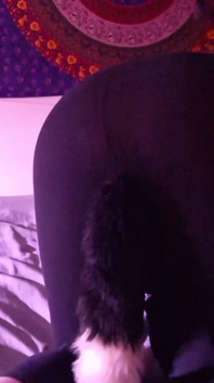 Slap Ass