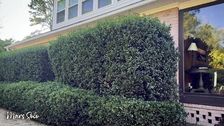 Mars solo: Gulat seks berlumur minyak dengan strap-on di ronde hukuman - mars...