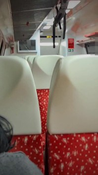 走行中の電車の中で見知らぬ男に初めて人前で犯された