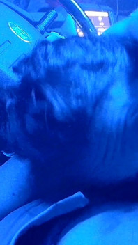 Blowjob in My Truck Cum in Mouth