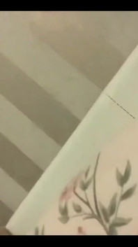 Quick Glimpse of What’s Going on