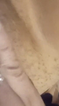 Bichano