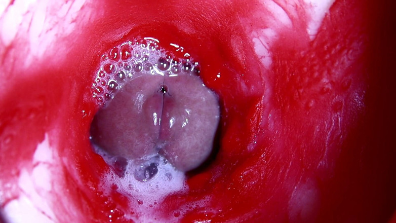 SEXY_GUYBEST: 핫한 젖은 섹시한 구멍과 단정치 못한 대물 자지