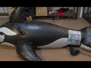 Whale Girl