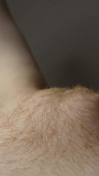 Massaging My Big Hairy Mound