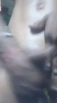 Video Sexy