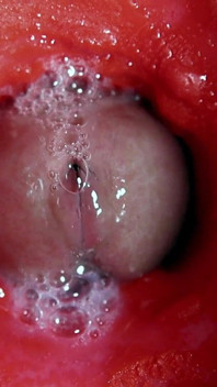 가장 아름다운 내부 오르가즘 클로즈업! Asmr 대물 사정!