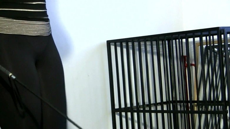 Mistress Luna: Pet Trénink od paní Luny
