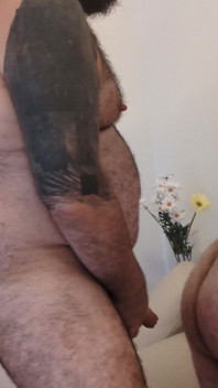 Bears Bareback - Pesta seks liar 4k