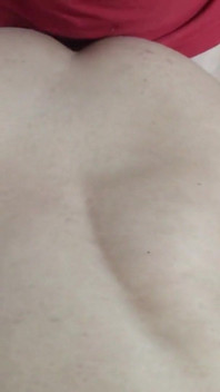 3067576