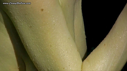 Casey Deluxe: 凯西在瀑布边拍摄