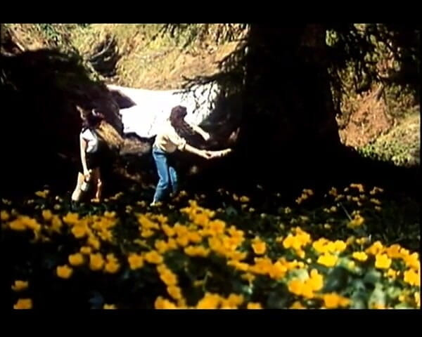 GERMAN PORN CLASSICS: Heissbluetiges Verlangen - Herzog Video