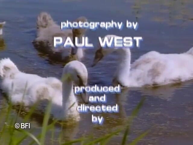 Hardcore slave sex: Starý chopek je potrestán bondage na pásku